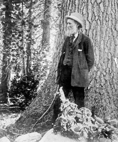 A Game-Changer in the Natural World: Unveiling John Muir's Profound Impact