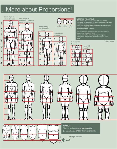 Age, Height, and Figure Guide