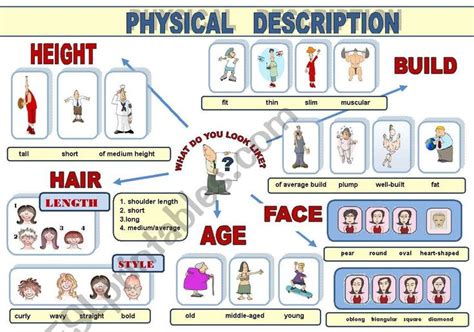 Age, Height, and Physical Features