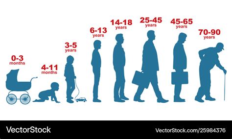 Age: Exploring [Person]'s Life Stage