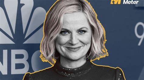Amy Poehler's Wealth and Current Ventures