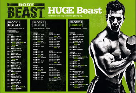 An In-depth Look at The Beast's Physique and Exercise Regimen