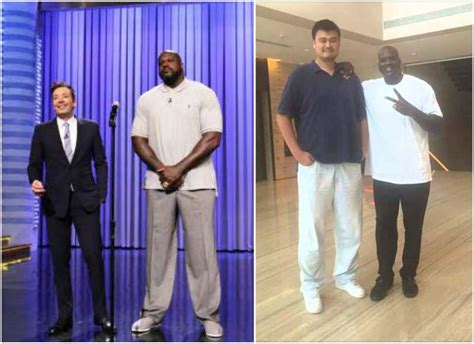 Analyzing Shaq's Figure: Weight and Body Measurements