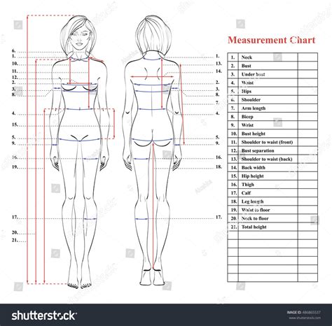 Appreciating Bex Model's Figure and Body Measurements