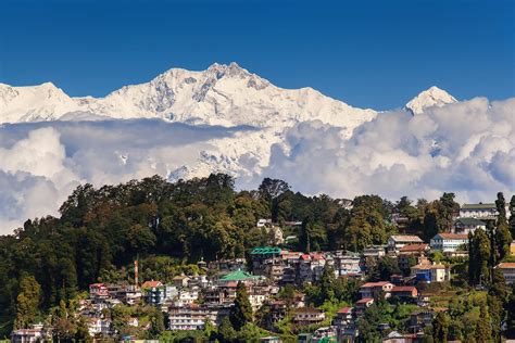 Assessing the Wealth of Amazon Darjeeling