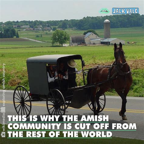 Beyond the Spotlight: A Deep Dive into Amish Hill's Financial Success