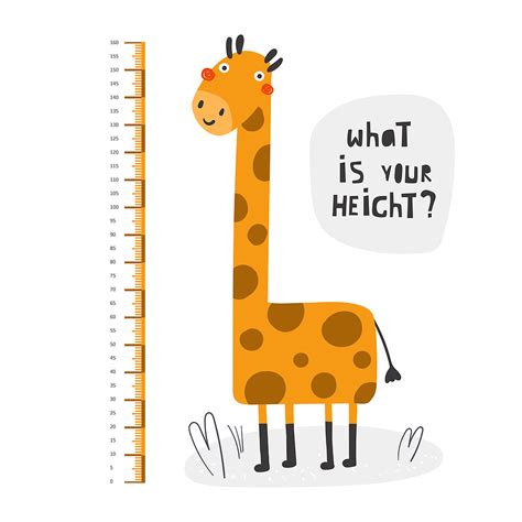 Black Fox's Height – How Does he Measure up?