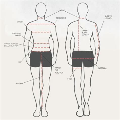 Body Measurements and Features