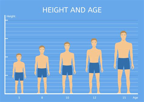 Comparison to Average Height Statistics