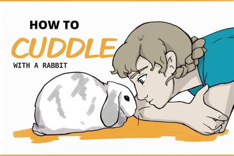 Cuddle Bunny: A Comprehensive Account of Their Life Story