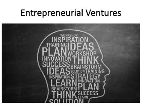 Current Ventures and Entrepreneurial Pursuits