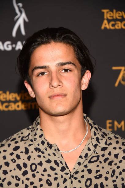 Discovering Aramis Knight's Vital Statistics and Personal Details