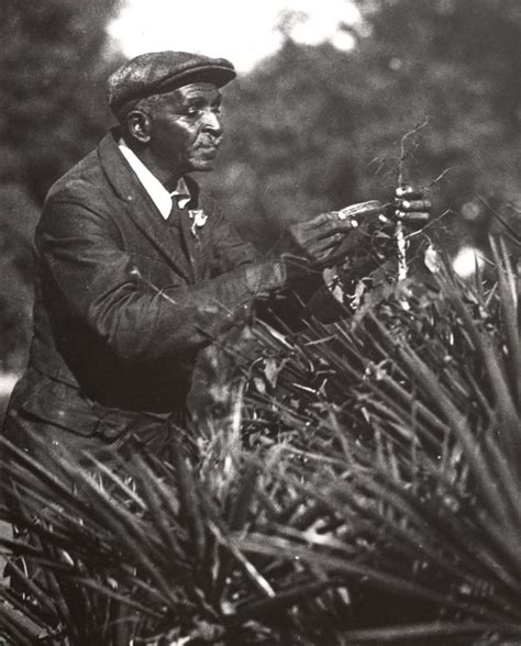 Discovering a Passion for Botany: Carver's Journey into Plant Research