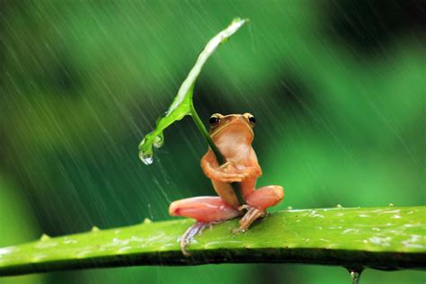 Early Life and Background of Cute Rain