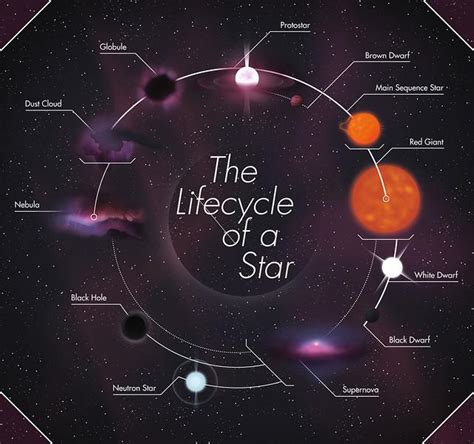 Early Life and Education: The Beginnings of a Star