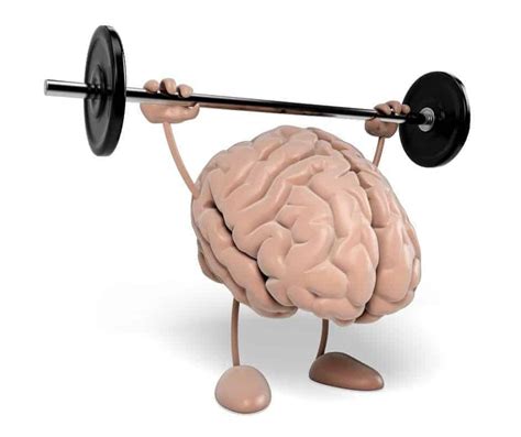 Enhances Brain Function and Memory