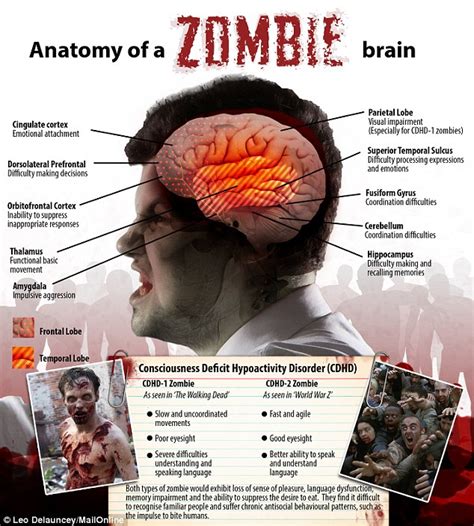 Examining Zombie Suicide's Brief Existence