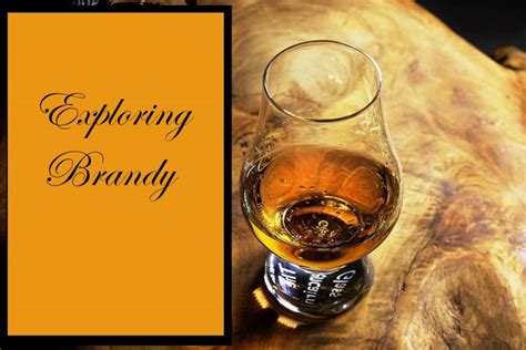 Exploring Brandy Starz's Impressive Fortune and Achievements