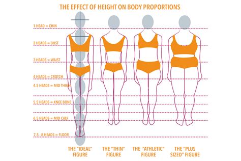 Exploring Thea Christensen's Body Measurements and Proportions