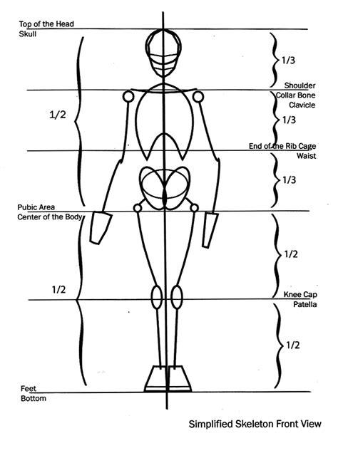 Figure: Examining the Proportions of Jessica Howells' Body