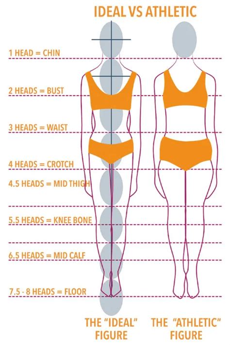 Figure: Understanding Diana Devoe's Mesmerizing Body Proportions