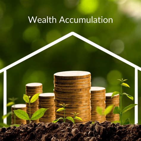 Financial Success and Wealth Accumulation of Lina Luxa