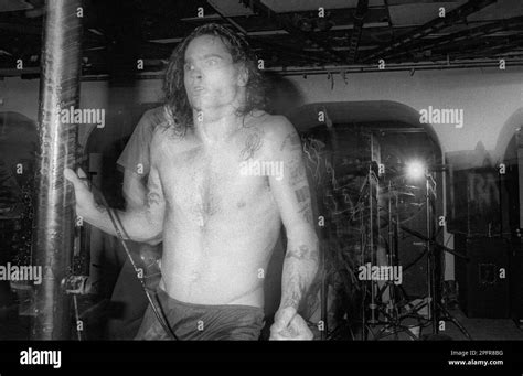 From Black Flag to Rollins Band: Henry's Impact on the American Punk Scene