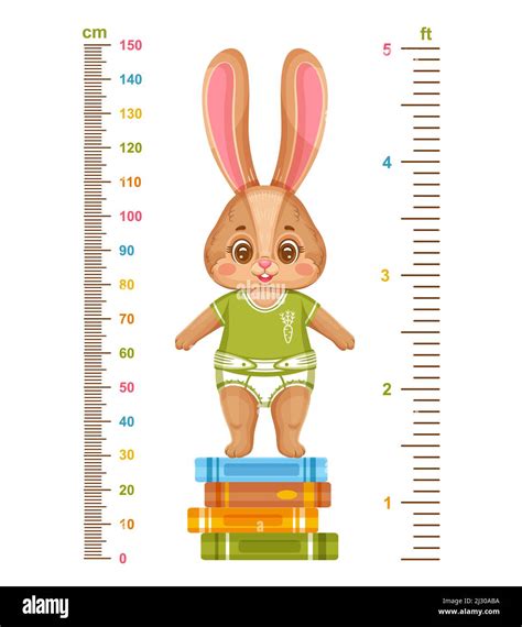 Height: Measuring Tia Bunny's Stature