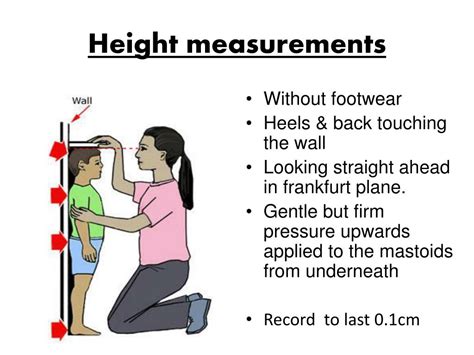 Height: Physical Features and Measurements