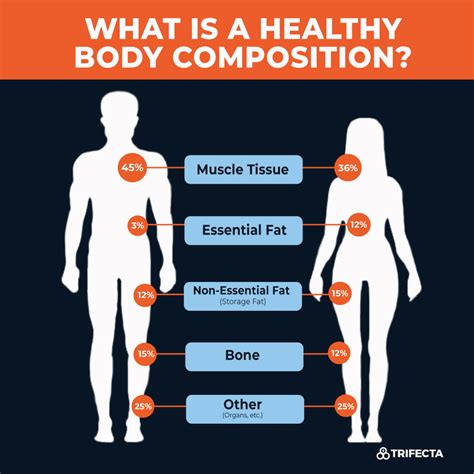 Height and Body Composition: A Look at Kat Oberle's Physical Appearance