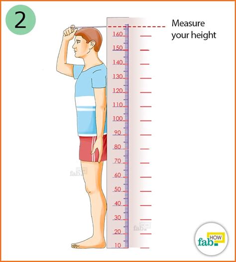 Height and Body Measurements that Catch Attention