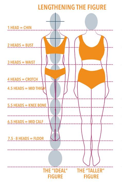 Height and Body Proportions of the Sensational Deria