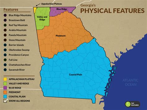 Height and Confidence: Exploring Georgia's Physical Attributes