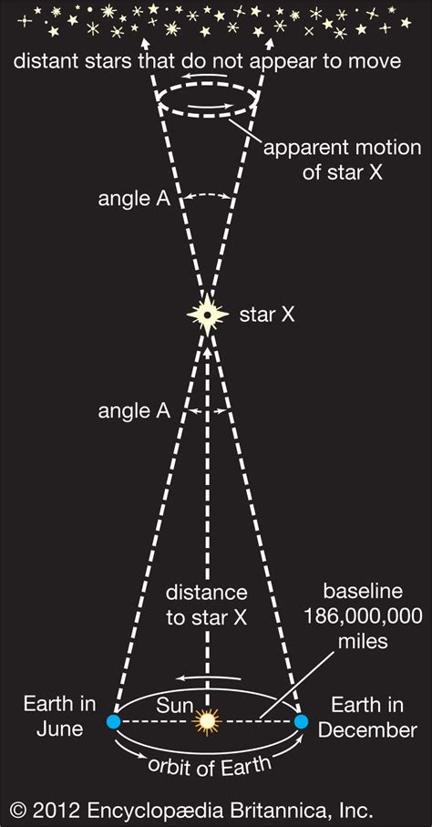 Height and Figure: The Physical Presence of a Star