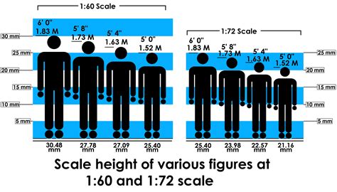 Height and Figure Exploration