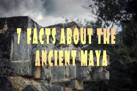 Height and Figure of Maya Bush: Surprising Facts