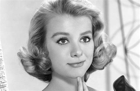 Inger Stevens: A Brief Life Story