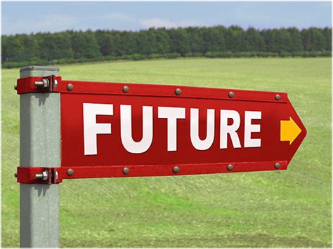 Looking Beyond: Future Plans and Aspirations