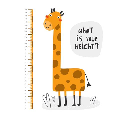 Measuring and Maintaining Height