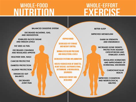 Optimizing Physical and Mental Performance through Nourishment
