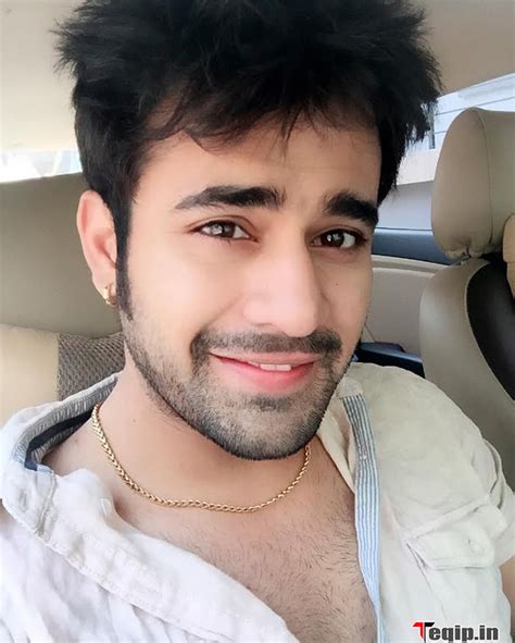 Pearl V Puri's Net Worth and Future Projects
