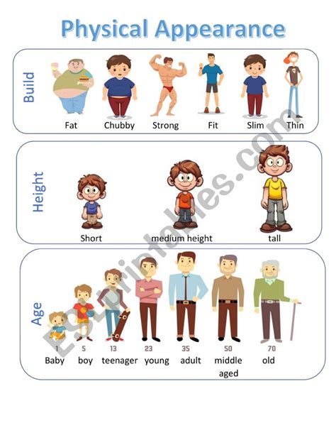 Physical Appearance and Measurements 