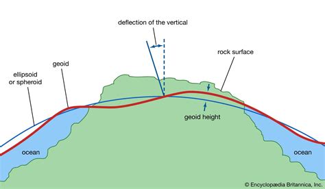 Physical Features: Height and Figure