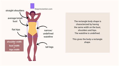 Physical attributes and body shape