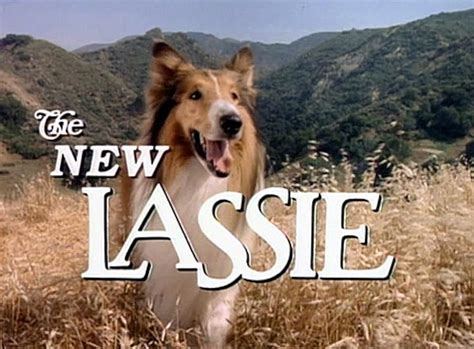 Rising to the Spotlight with Television Role in "Lassie"