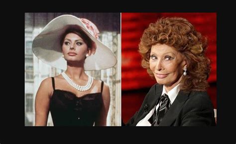 Sophia Loren: A Remarkable Journey of Beauty and Achievement