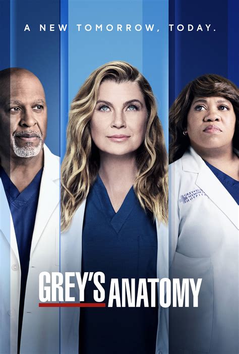 Steady Presence on the Small Screen: Bones, Grey's Anatomy, and The Deep End