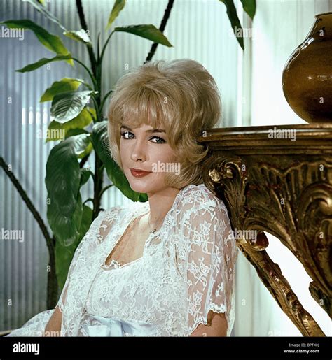 Stella Stevens: A Multi-Talented Actress and Director