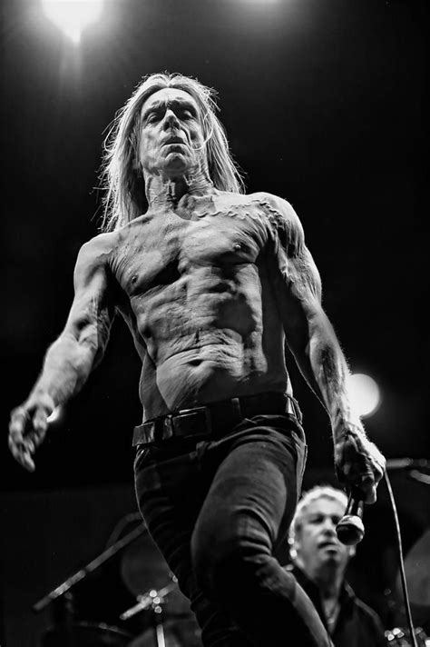 The Emergence of a Rock and Roll Icon: The Ascendancy of Iggy Pop