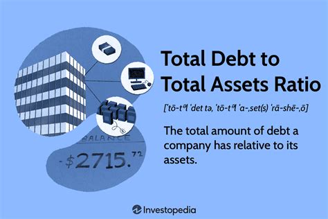 The Financial Side: Exploring Nitanshi's Total Assets